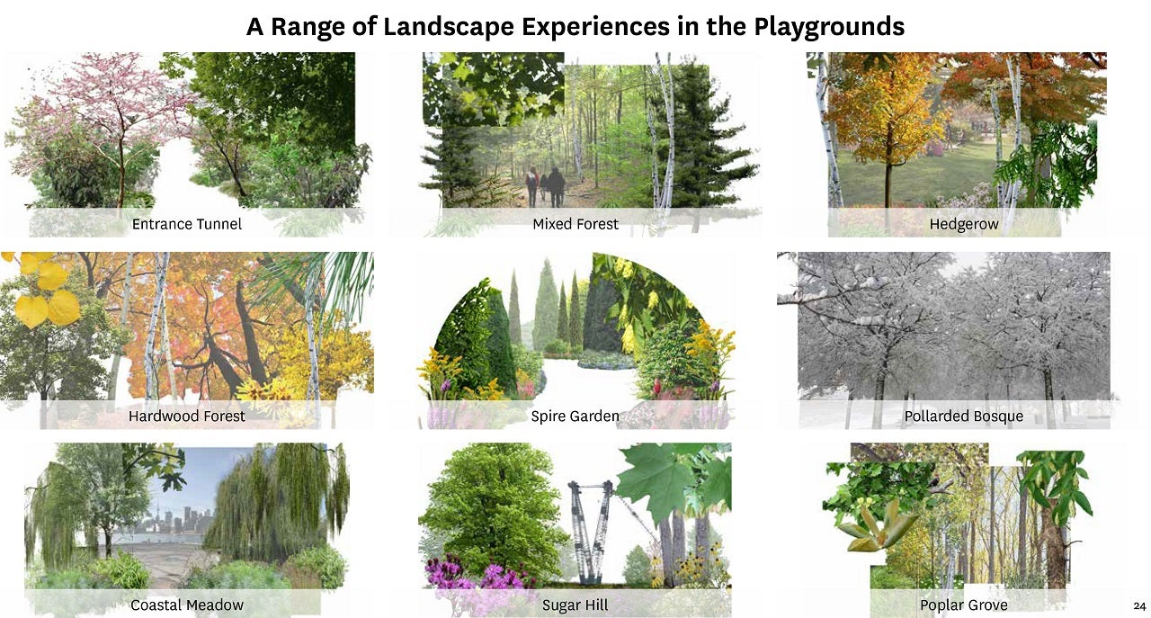 collage for various landscapes typically seen in parks - forest, garden, hills, grove, meadow