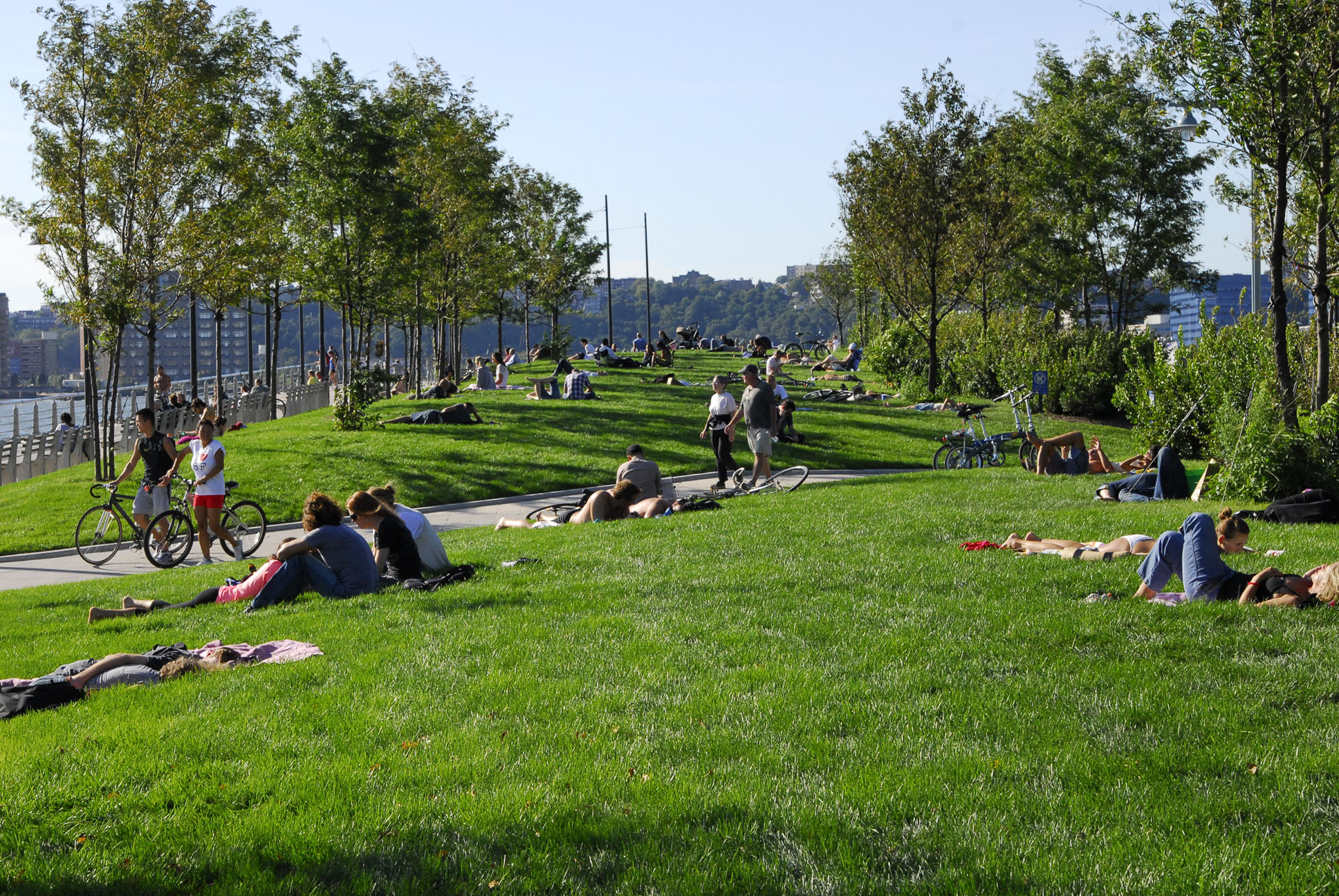 People laying on the sloped grass at Pier 64.