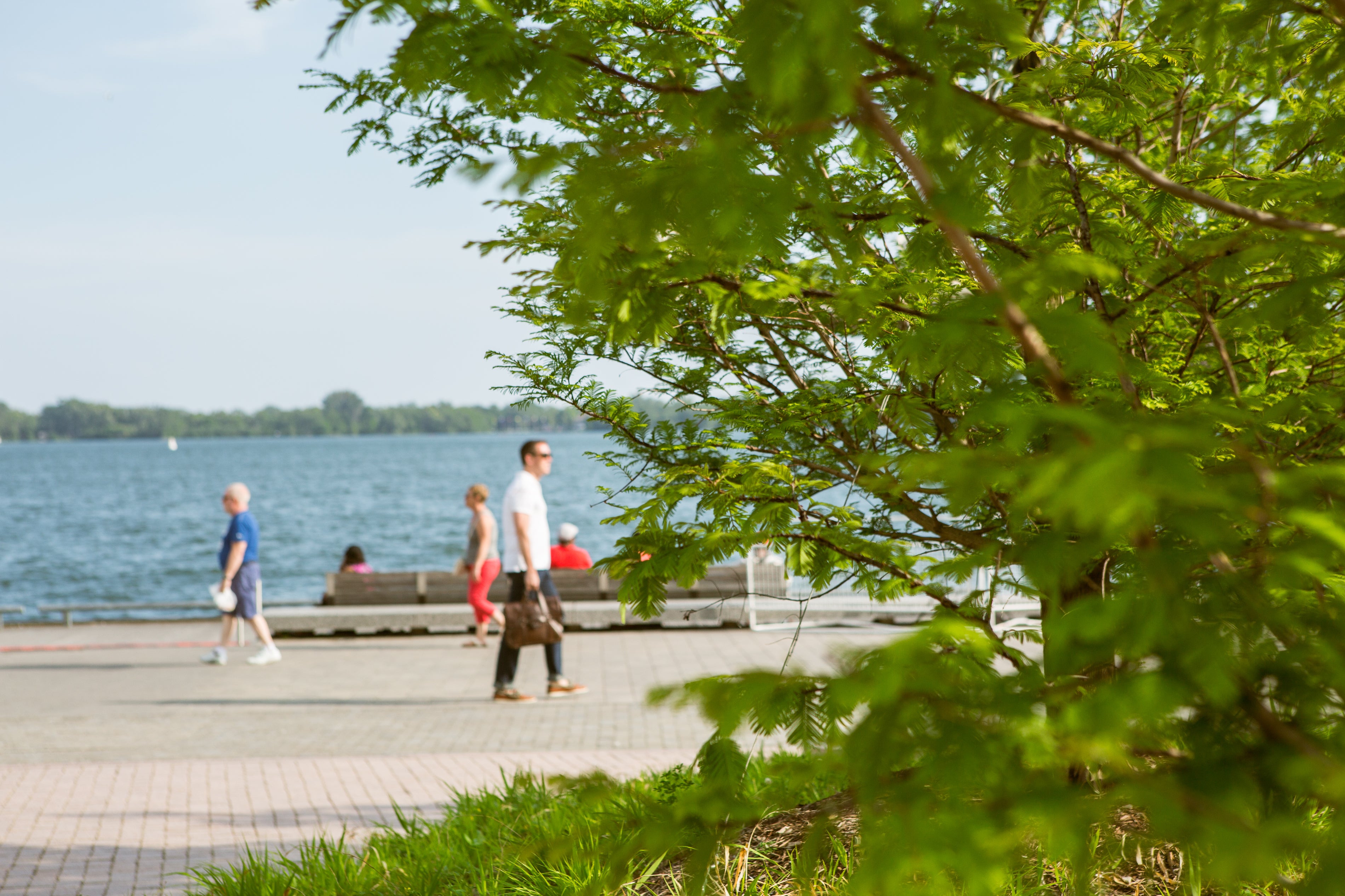 A view someone walking along the water's edge with Lake Ontario in the background