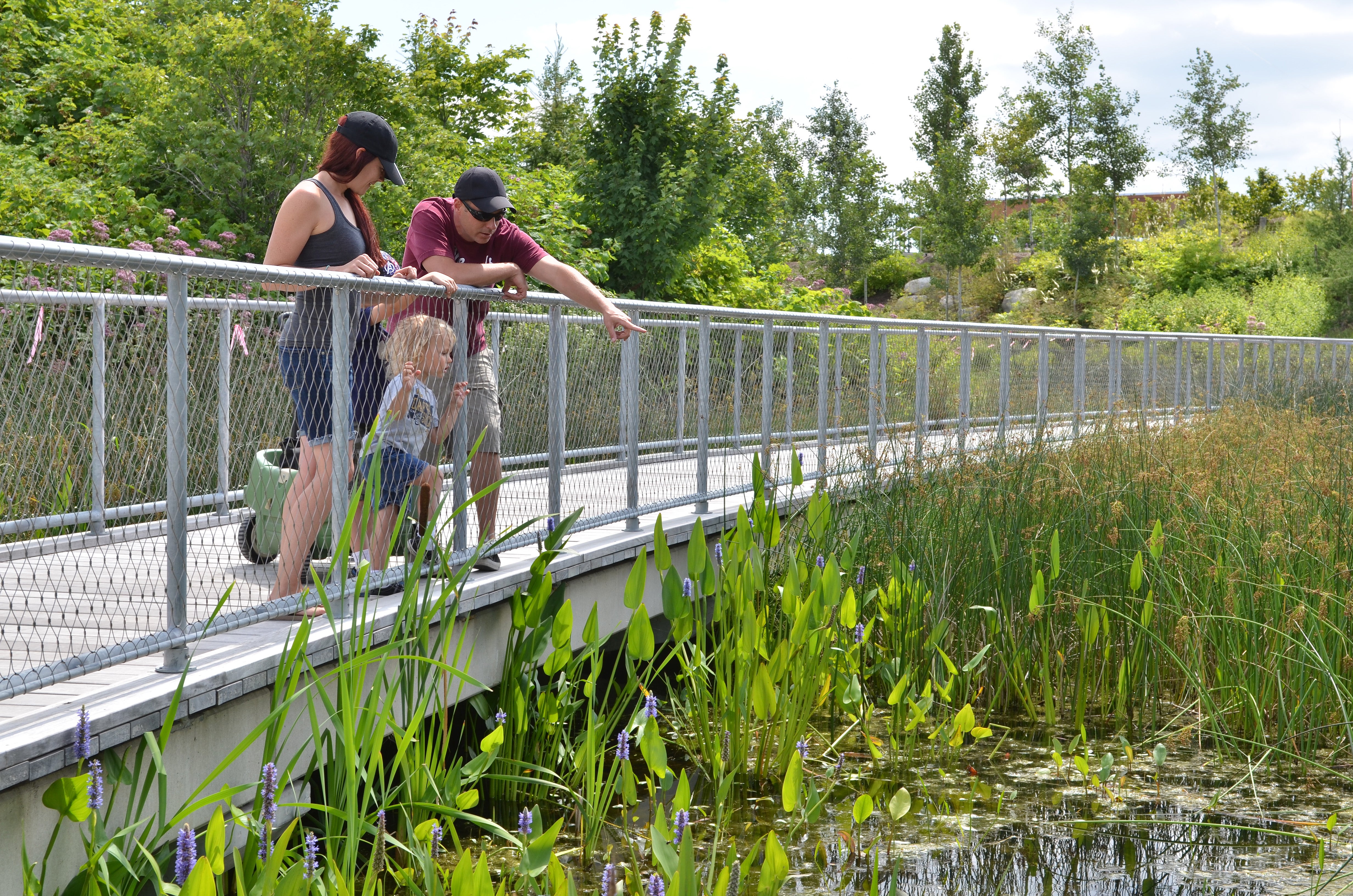 two adults and a child standing on a bridge looking over the marsh area at Corktown Common