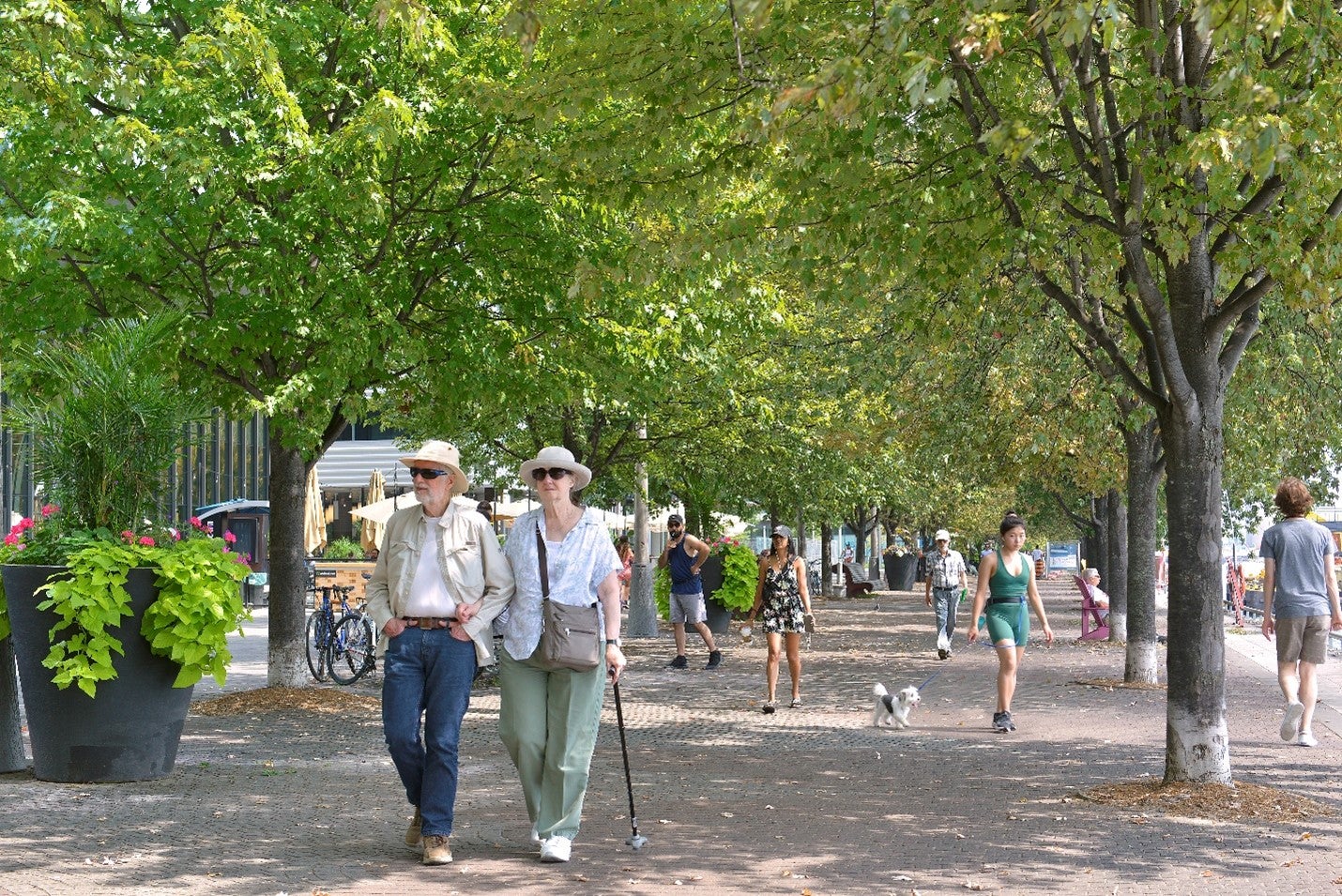 An older couple walking along the shaded water's edge promenade