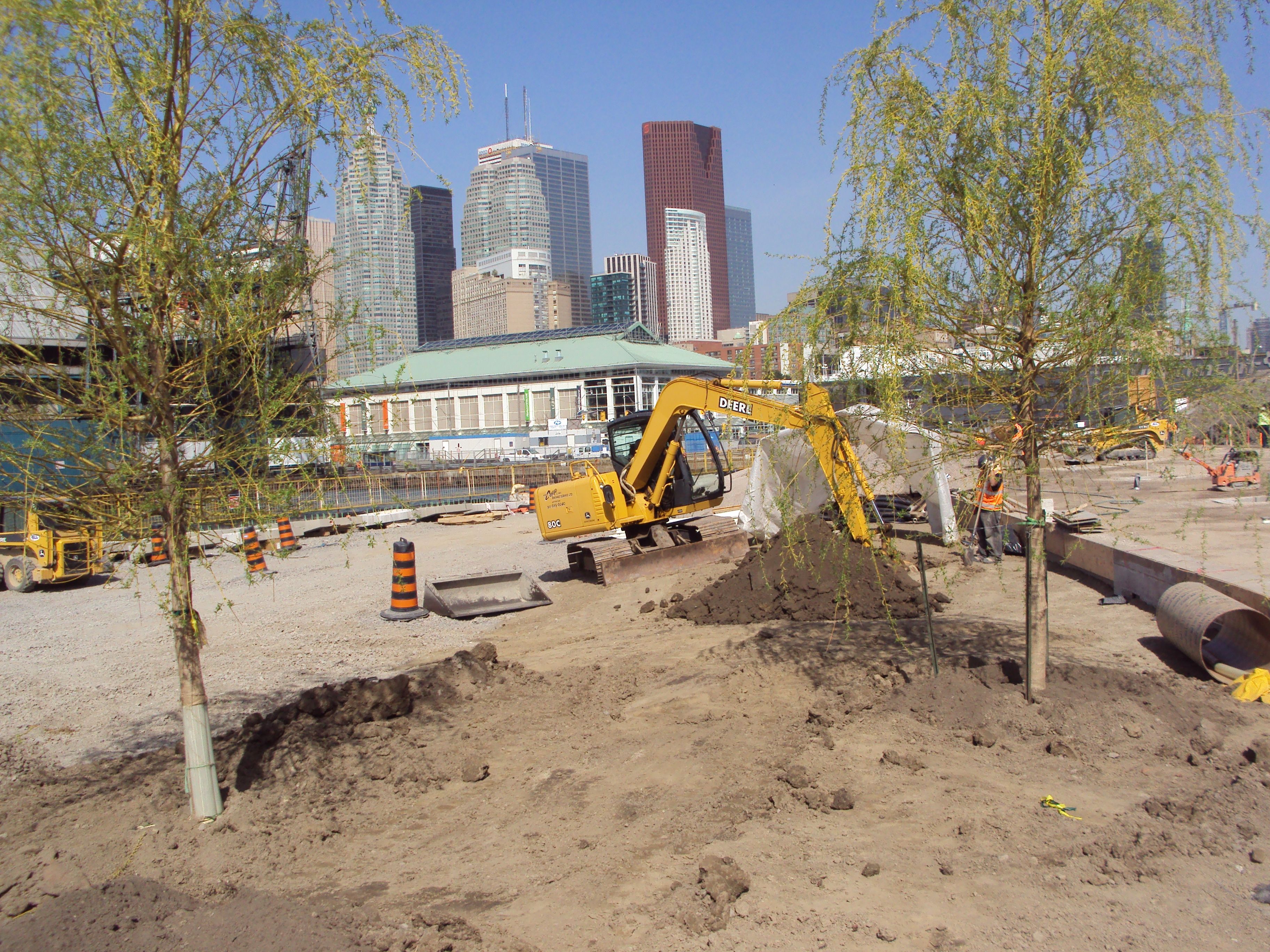 construction crews using equipment to dig and plant new trees at Sugar Beach