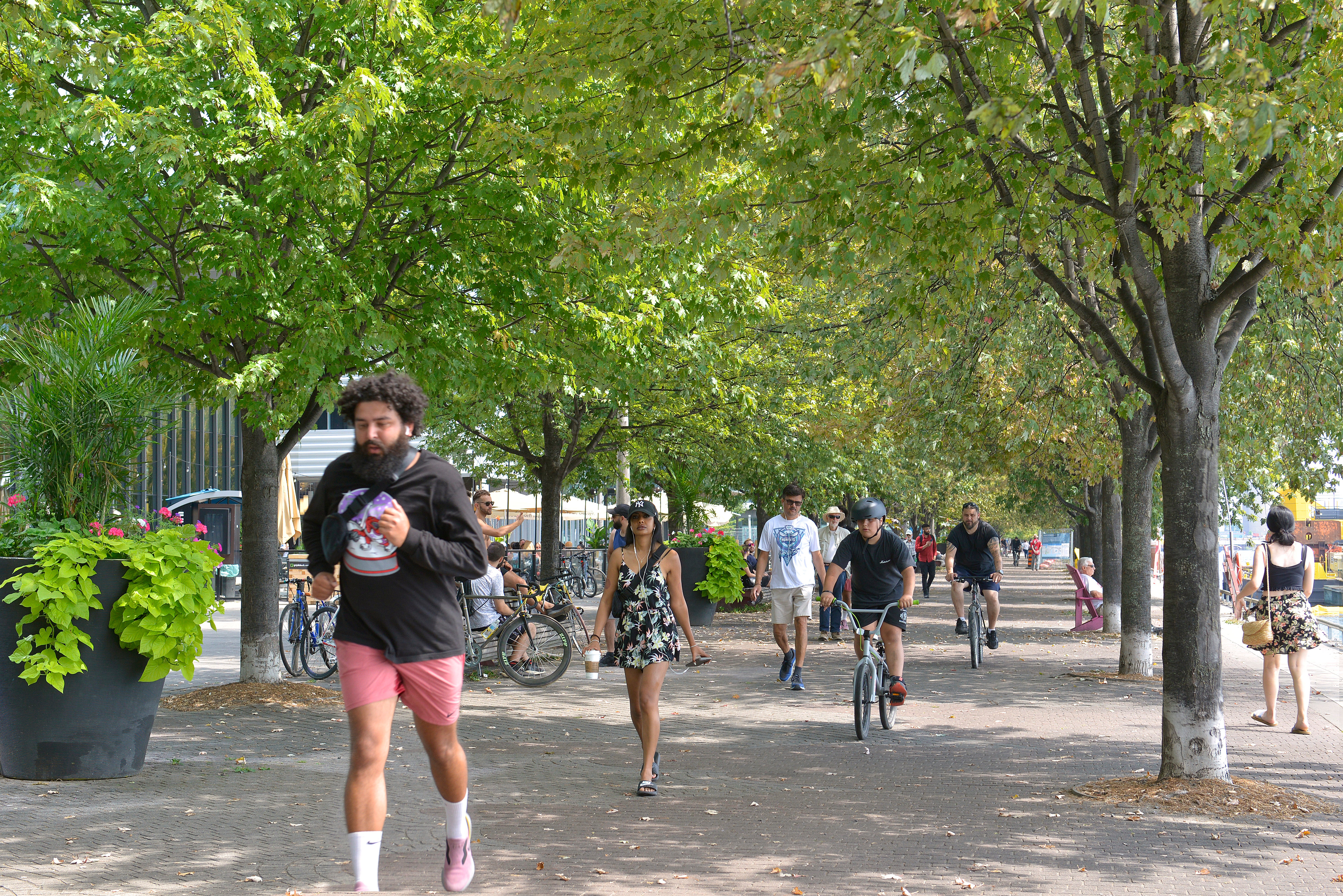 people walking, jogging and cycling along the tree-lined Water's Edge Promenade