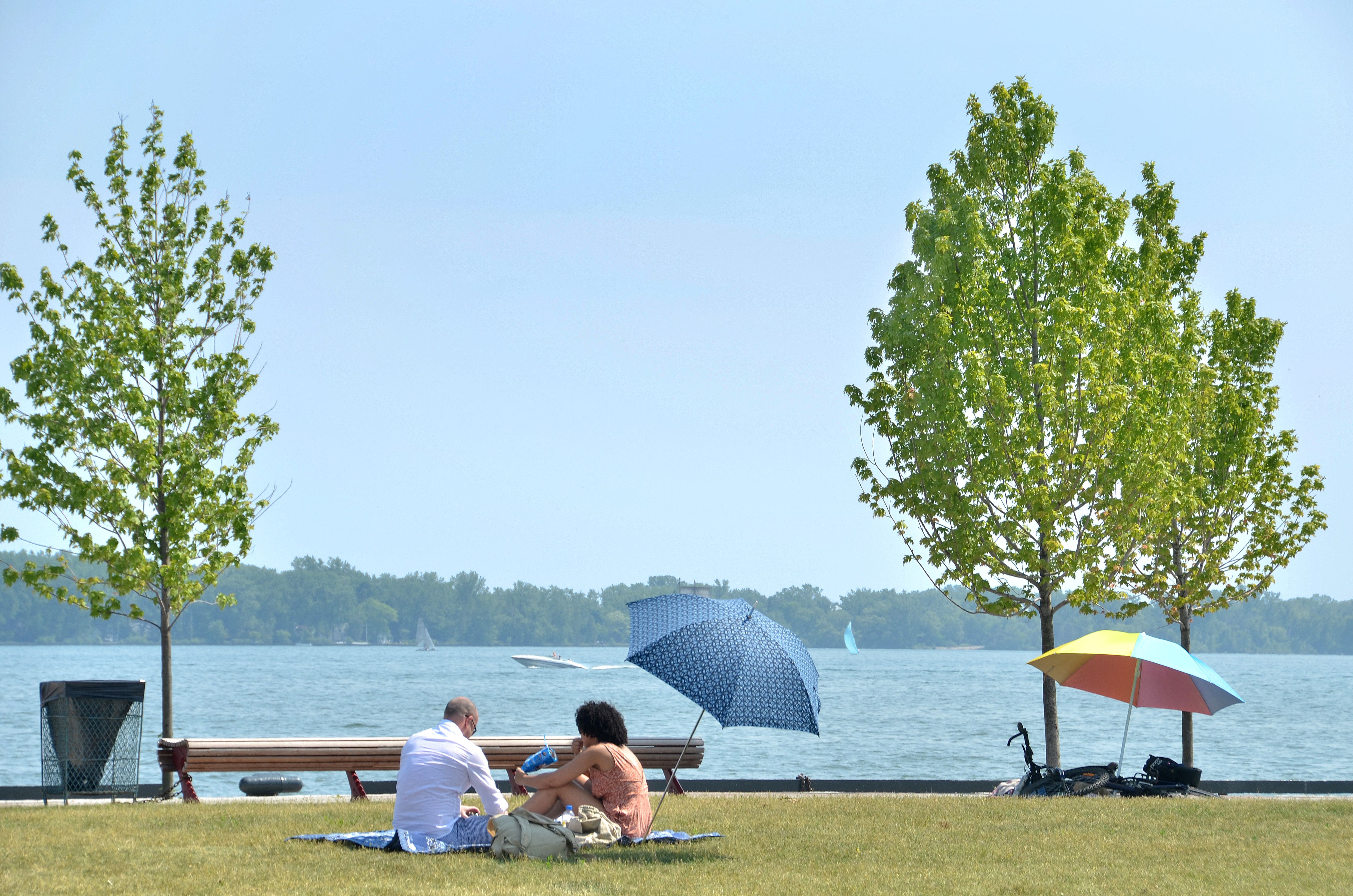 people sitting on the lawn next to Lake Ontario