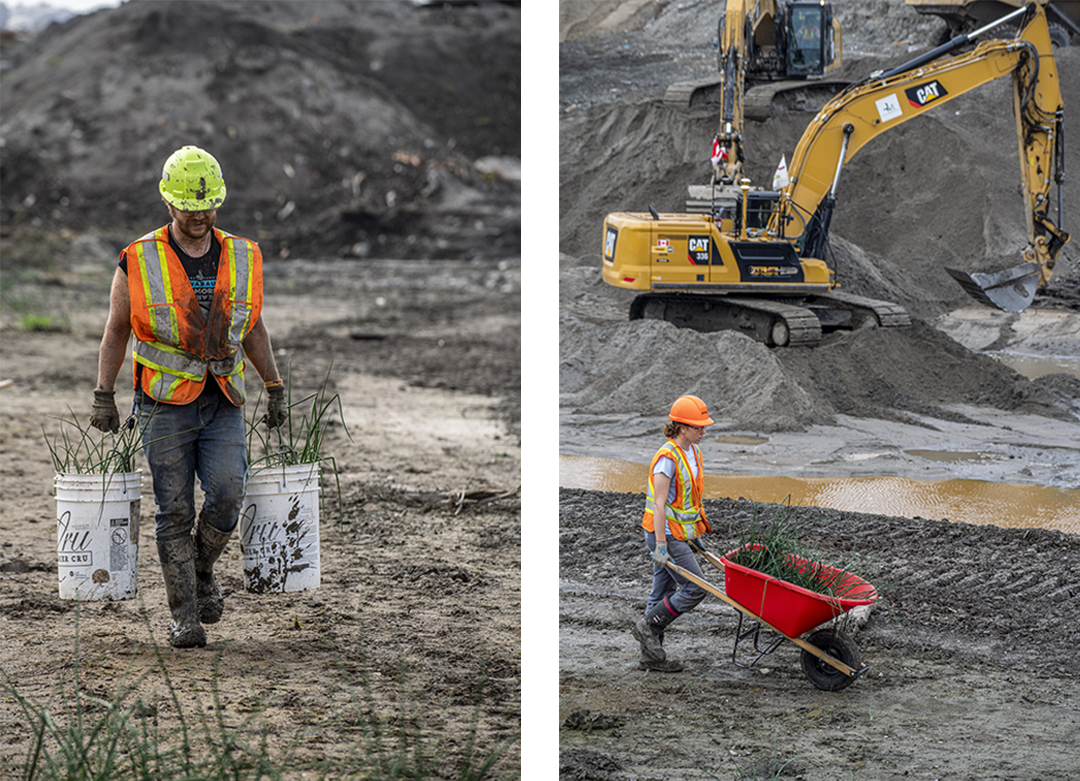 Left: a worker carries two buckets full of plants through a muddy construction site. Right: a worker transports plants in a wheelbarrow.