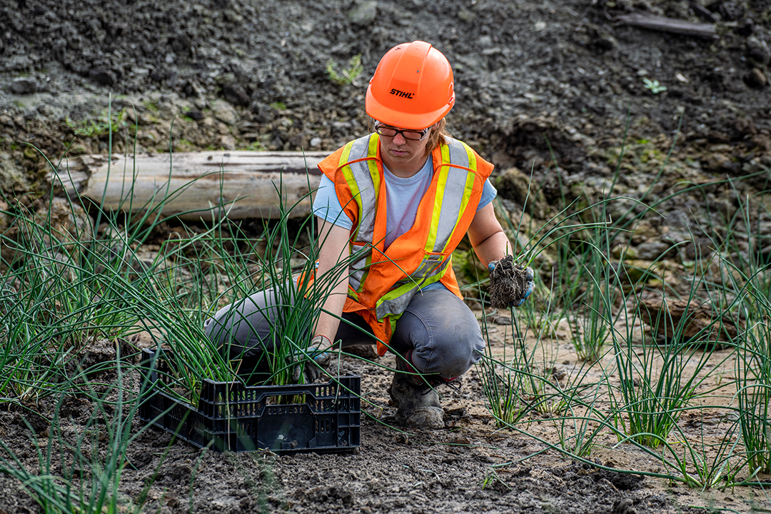 A team member removing seeds from the ground and preparing them for transportation.