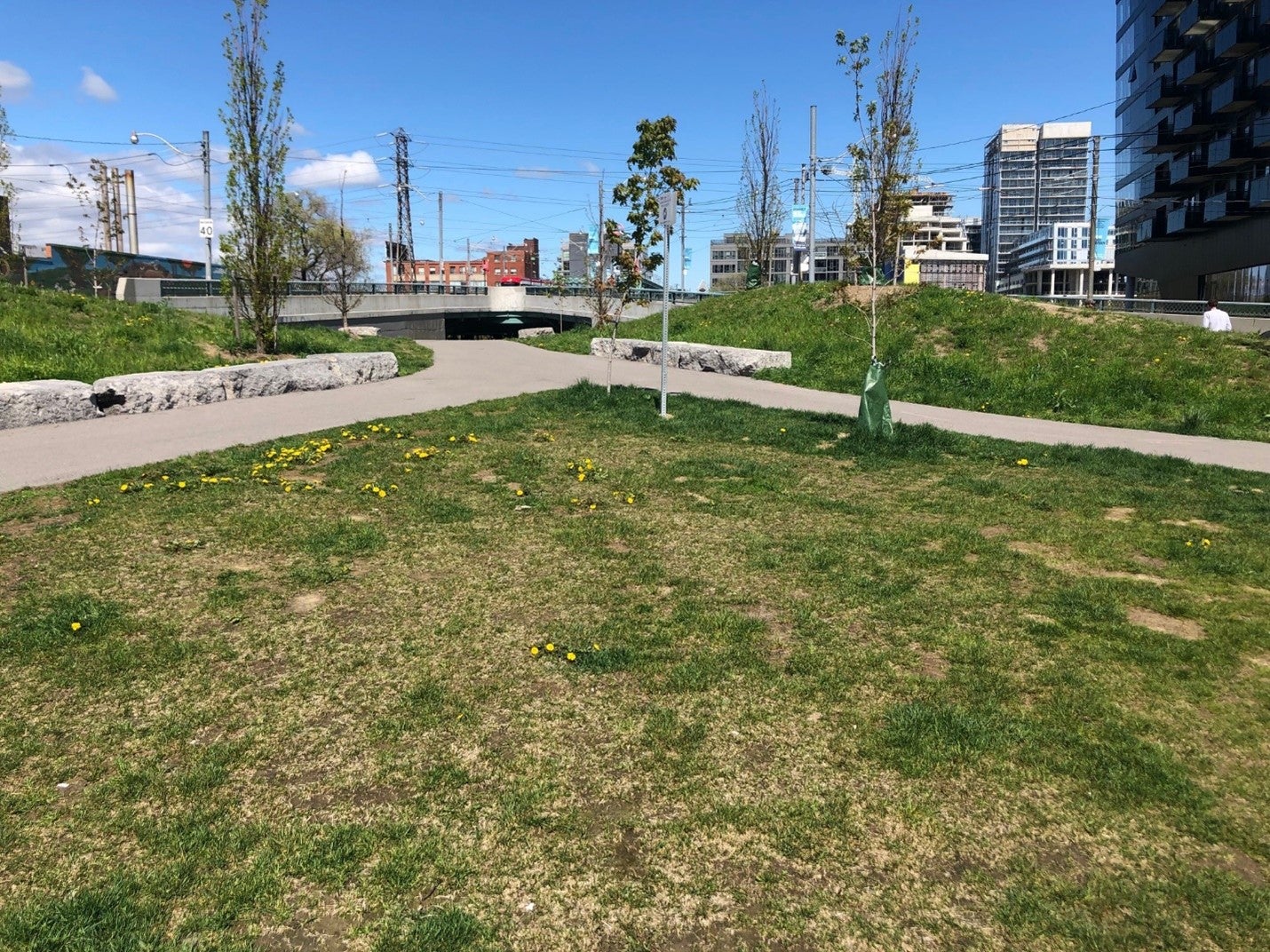 a grassy triangular area with two joining paths