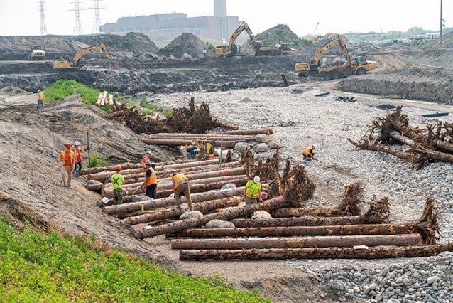 trees and rootwads were installed along the future river bank, providing a nature-based solution to erosion of the river bank during a flood as well as important habitat for fish