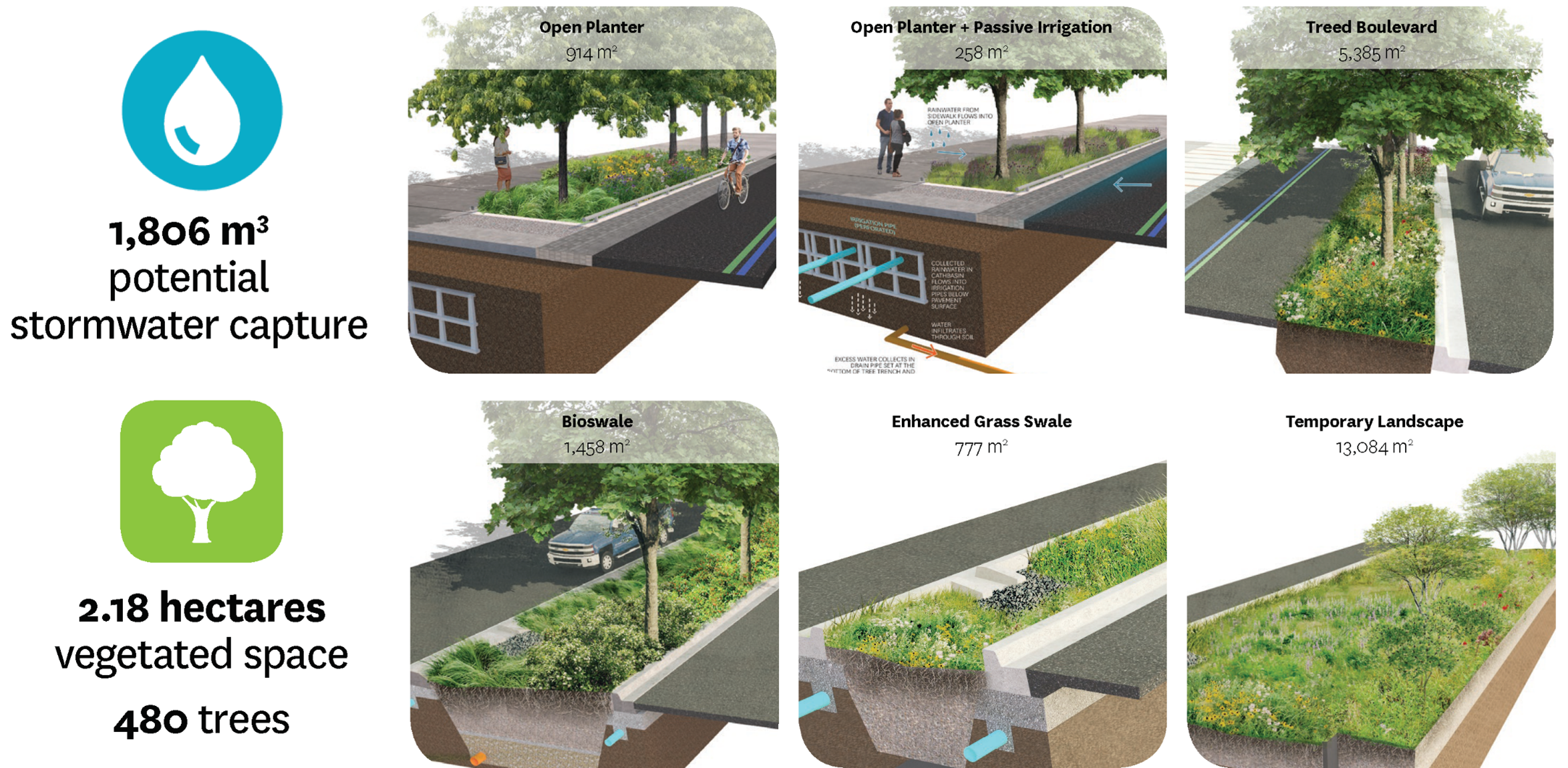 Over two hectares of vegetated landscape in the new streets could capture over 1 million litres of stormwater in a month