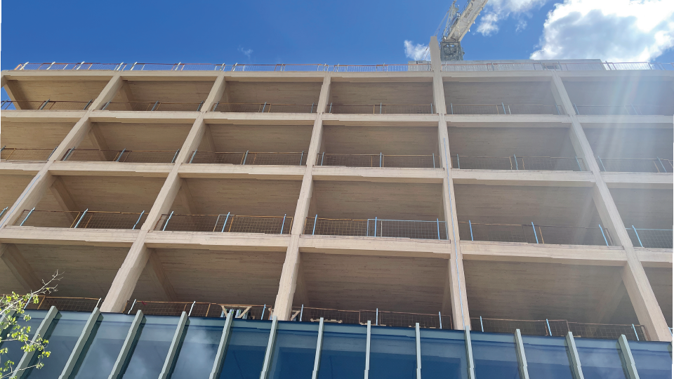 Looking up at the timber frame of T3 Bayside from street level.
