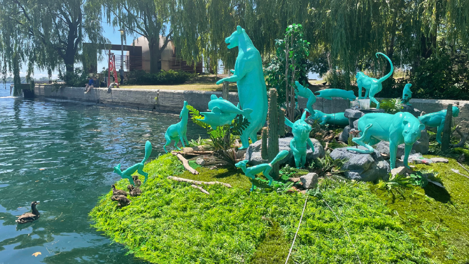 Ducks approach a floating wooden platform with model animals. 