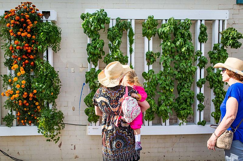 A woman carrying a child and another woman are looking at plants growing vertically on the side of a building..