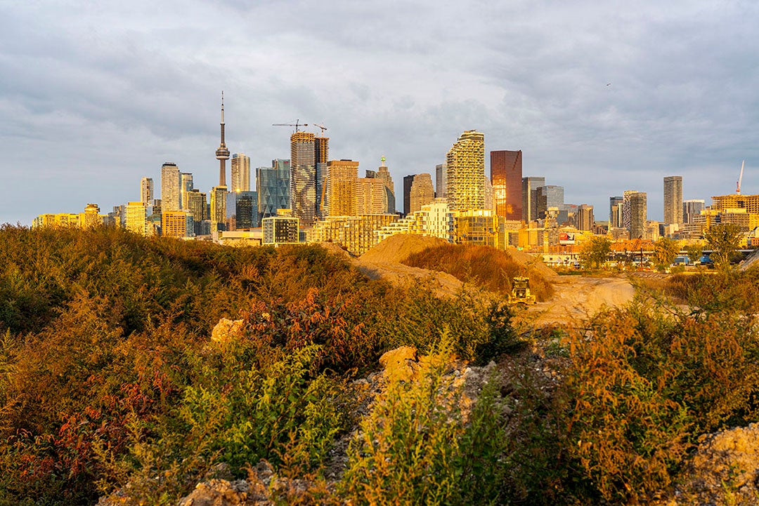 Looking west at the Toronto skyline during sunrise. 