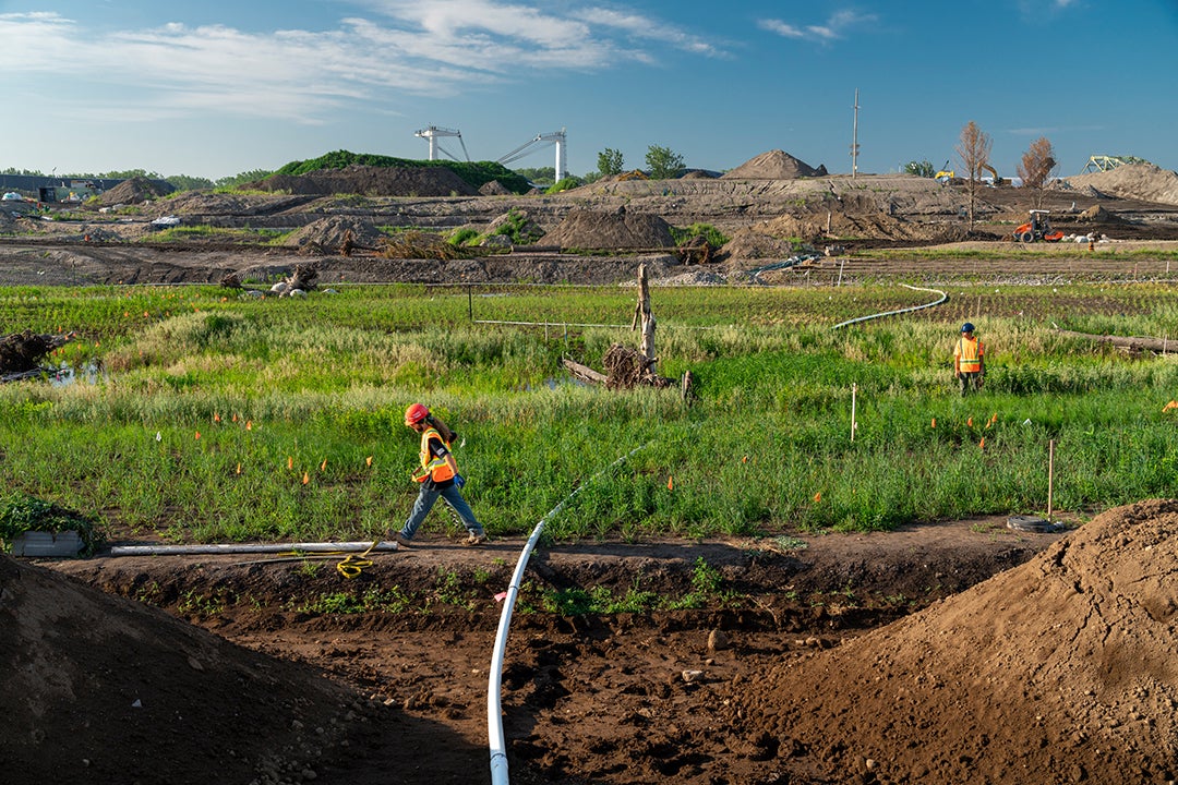 A construction worker walks through a newly planted field.