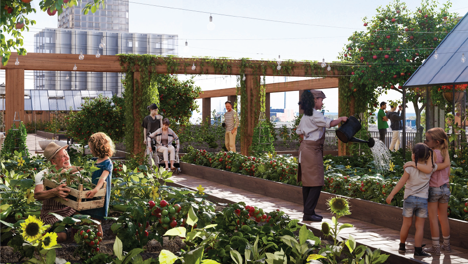 People tending to plants at a rooftop urban farm