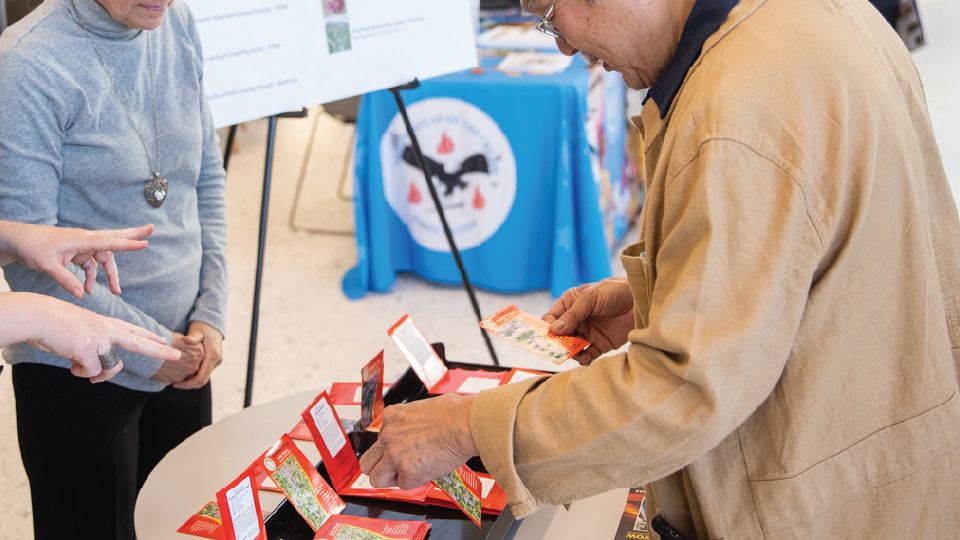 A person picks up a packet of seeds from a table display.