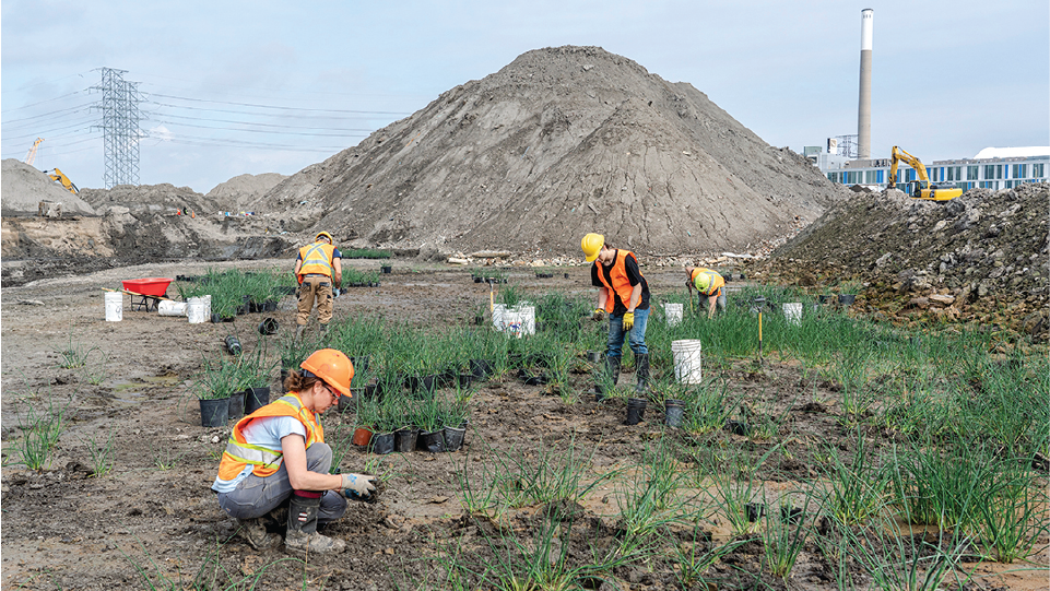 A planting crew on a construction site. 