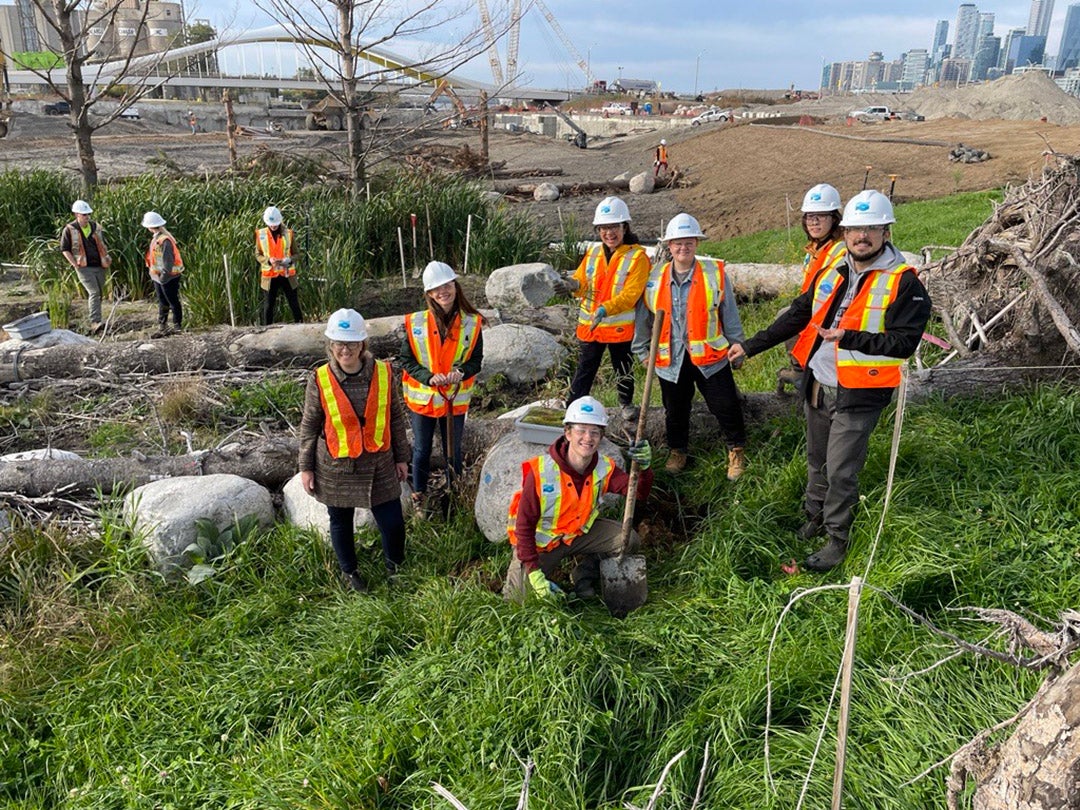 Team members posing for a photo with some of the regrown plants in the Port Lands.