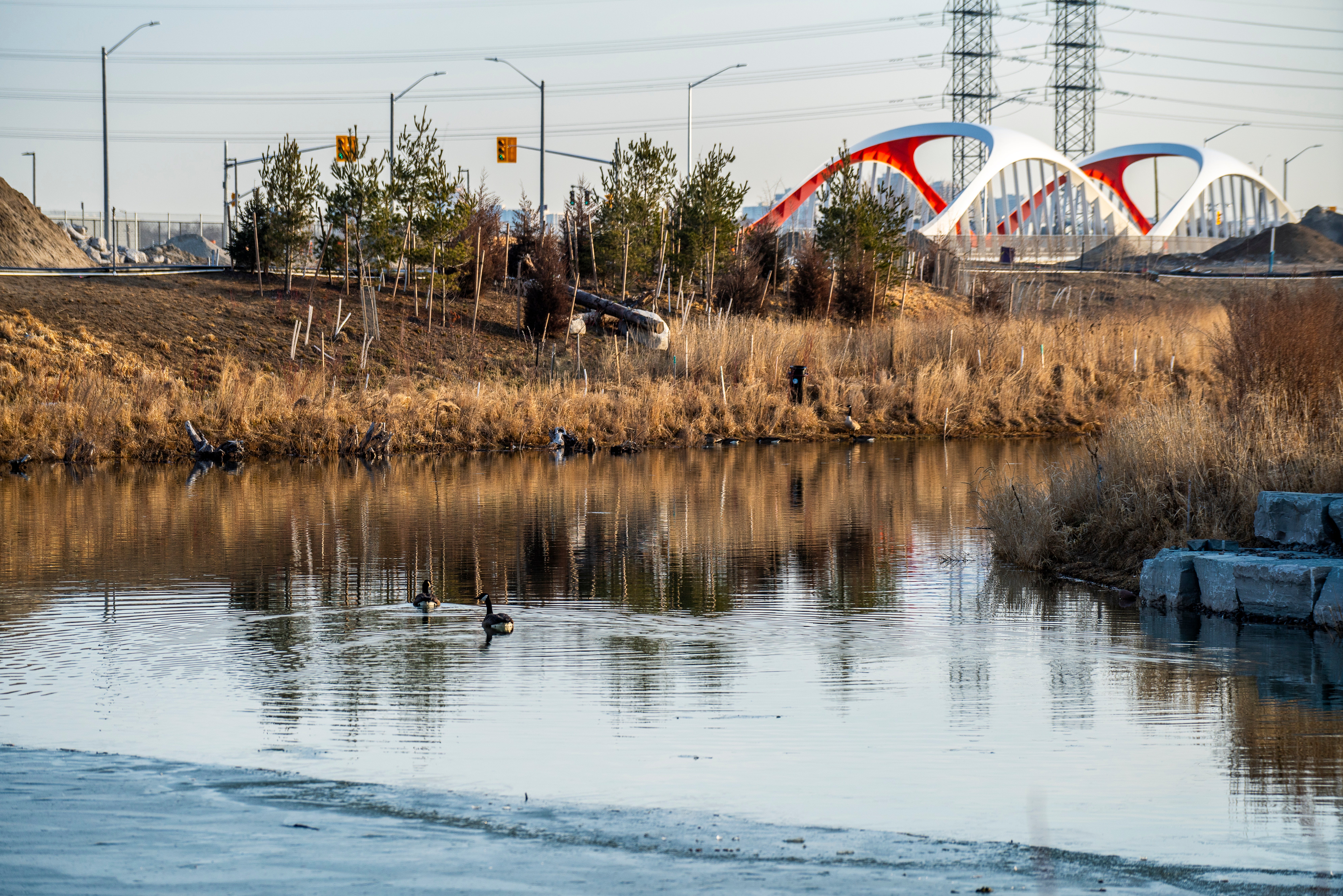 Two bridges behind wetlands.