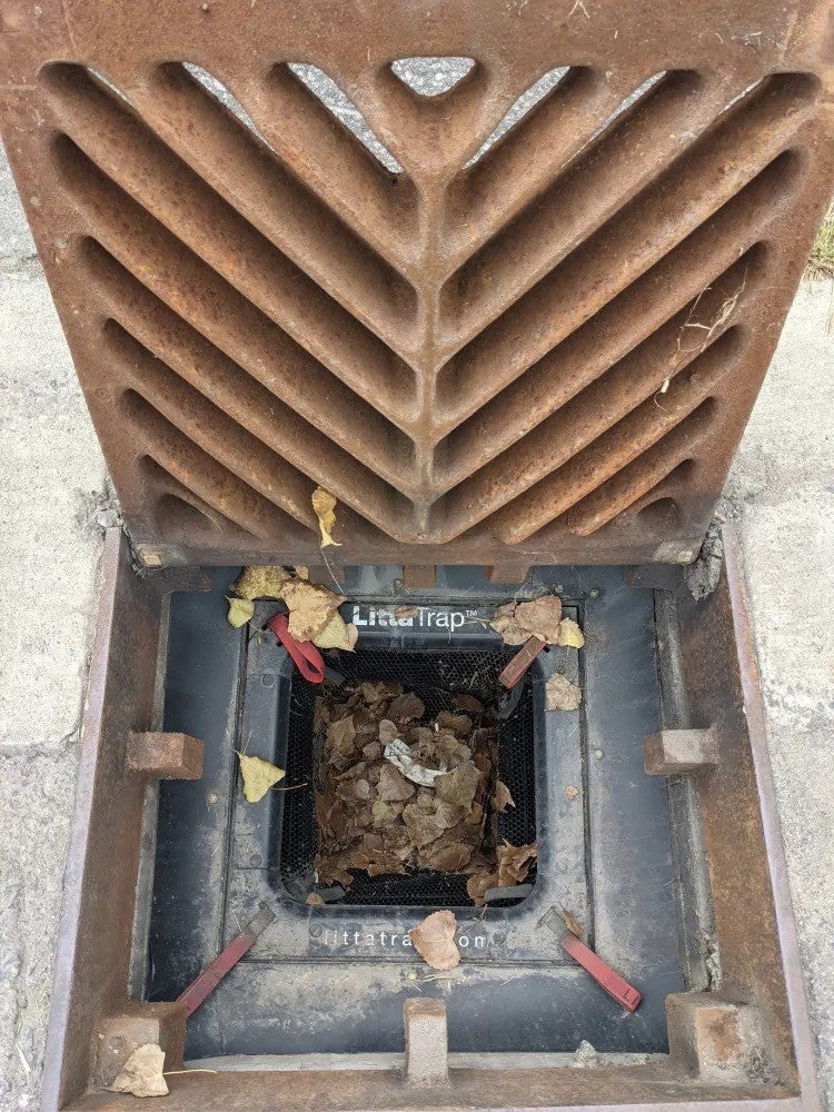 A street drain covered by a metal grate with a triangular pattern, containing visible debris and leaves. The grate features a "Litta Trap" catch basin insert designed to capture litter.