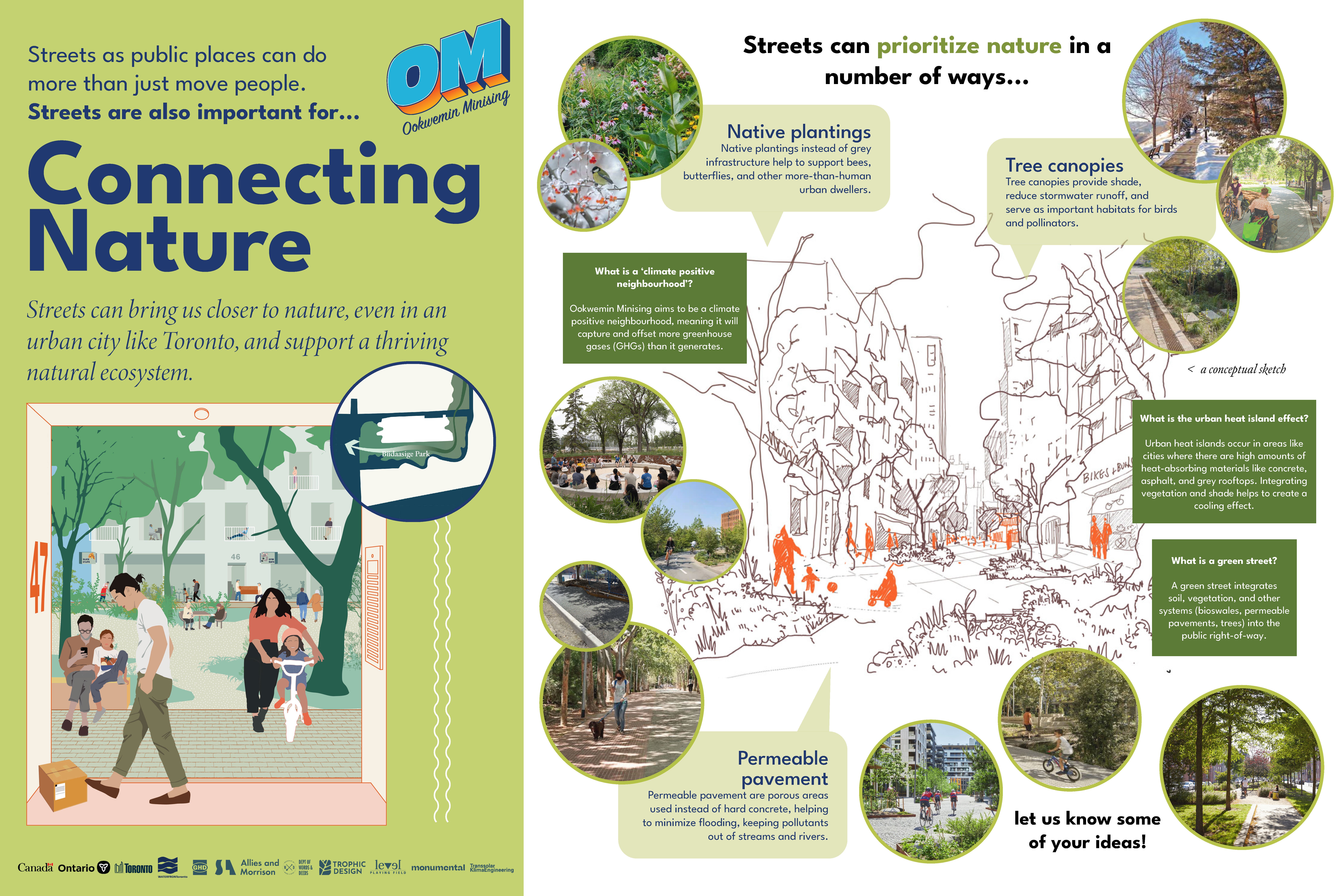 Poster Connecting Nature illustrates nature-integrated street design. Shows how urban streets support ecosystems & improve spaces by integrating nature into infrastructure for healthier, sustainable environments. Highlights streets as public places fostering biodiversity, cooling urban heat islands with vegetation & shade, & features the Climate Positive Neighbourhood Ookwemin Minising. Green streets include soil, vegetation, bioswales, permeable pavements, & trees, supporting wildlife & reducing flooding.
