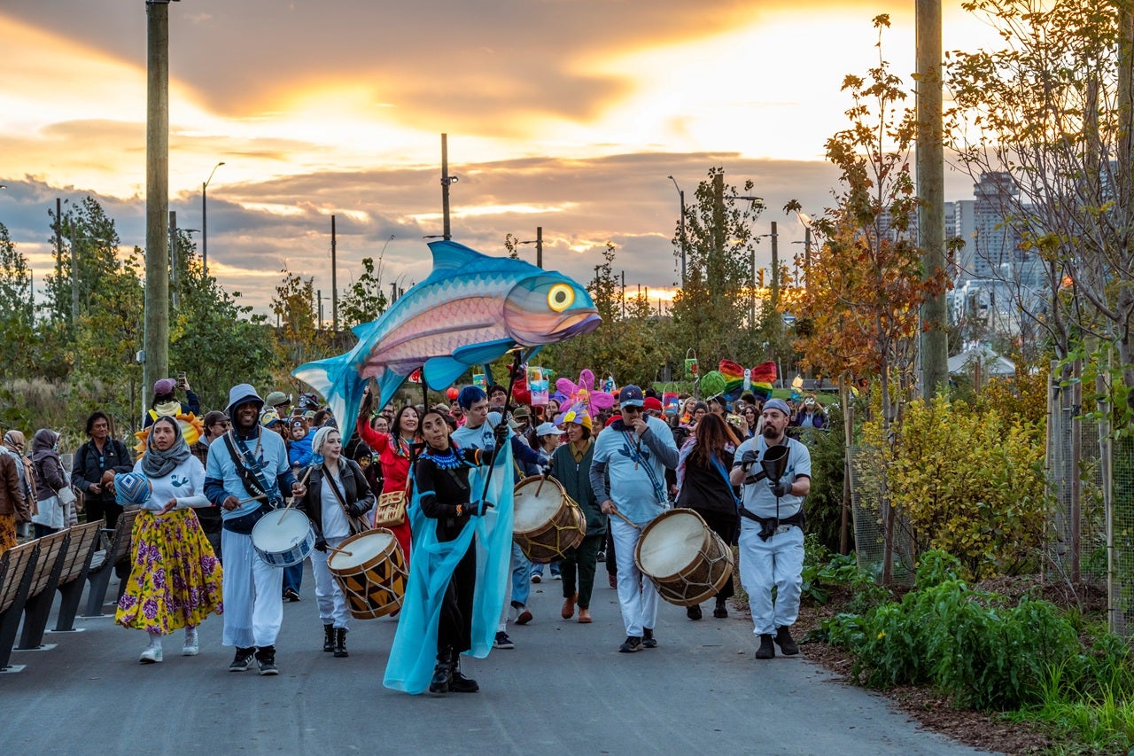 A large group of people participate in an outdoor parade at sunset along a planted pathway at Biidaasige Park. At the front of the procession, several drummers walk in a line, and a performer holds a large, colourful fish puppet. Participants behind them carry additional bright, handmade puppets and decorations. 