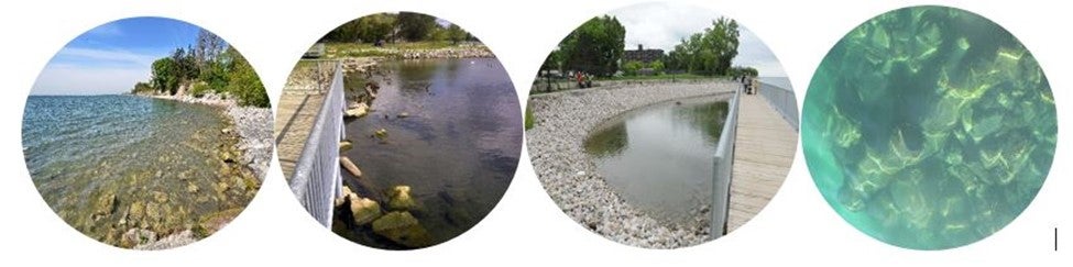 Series of aquatic habitat images