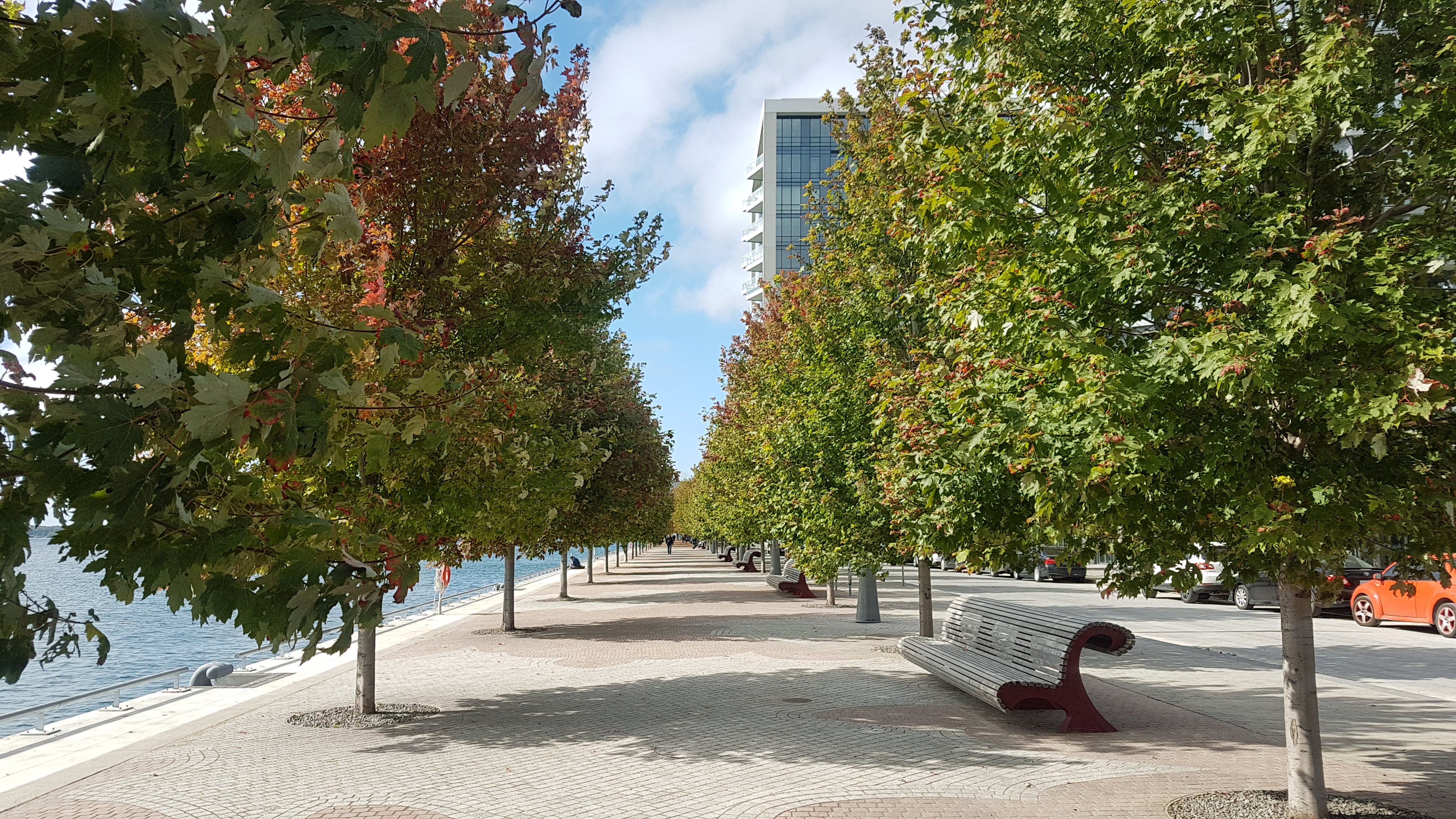 A view looking west across the recently opened Phase 2 Water’s Edge Promenade in East Bayfront.