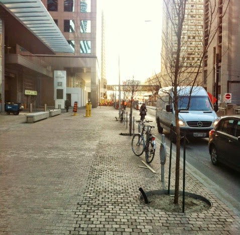 The trees on the north side of Queens Quay have already been planted.