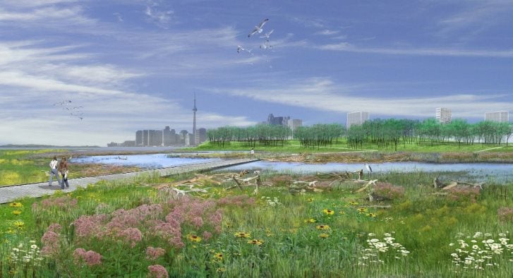 A rendering of the naturalized mouth of the Don River by Michael Van Valkenburgh and Associates.