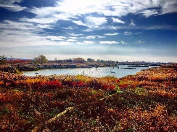 A view of Tommy Thompson Park in Autumn.