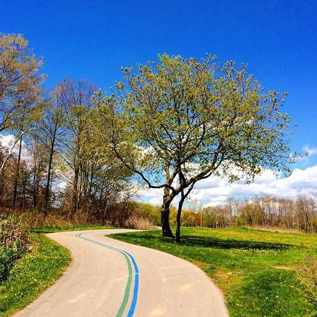 The shared-use trail in Marie Curtis Park.