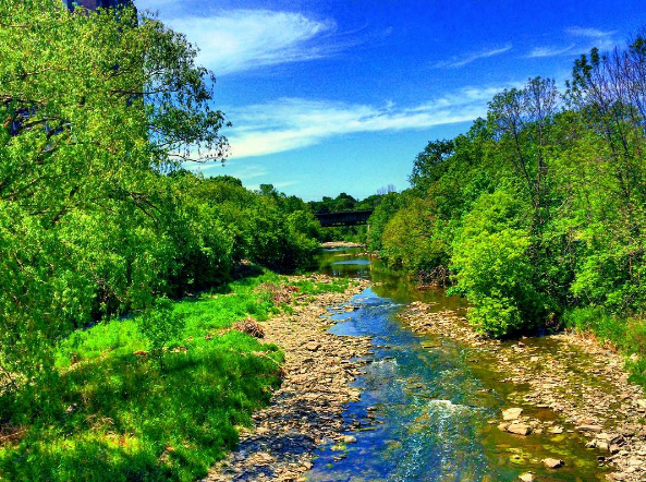Etobicoke Creek snakes through a green clearing with a bridge visible in the background. (Images by @3P_sarf on Instagram)