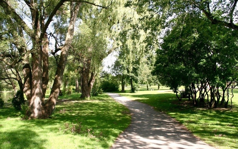 Trees and shrubs offer shade in the grass along a park path. (Image Credit: City of Toronto)