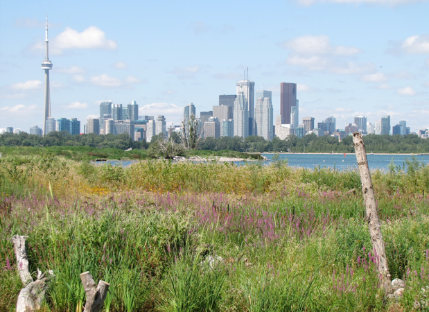A waterfront view of the park’s lush foliage against the scenic Toronto skyline.