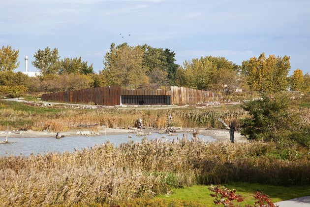 Tommy Thompson Park’s Environmental Shelter nearly disappears into its natural surroundings.