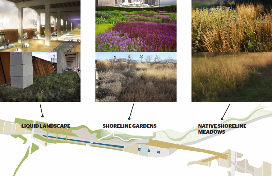 Examples of the types of native plants to be used in the Under Gardiner landscape plan.