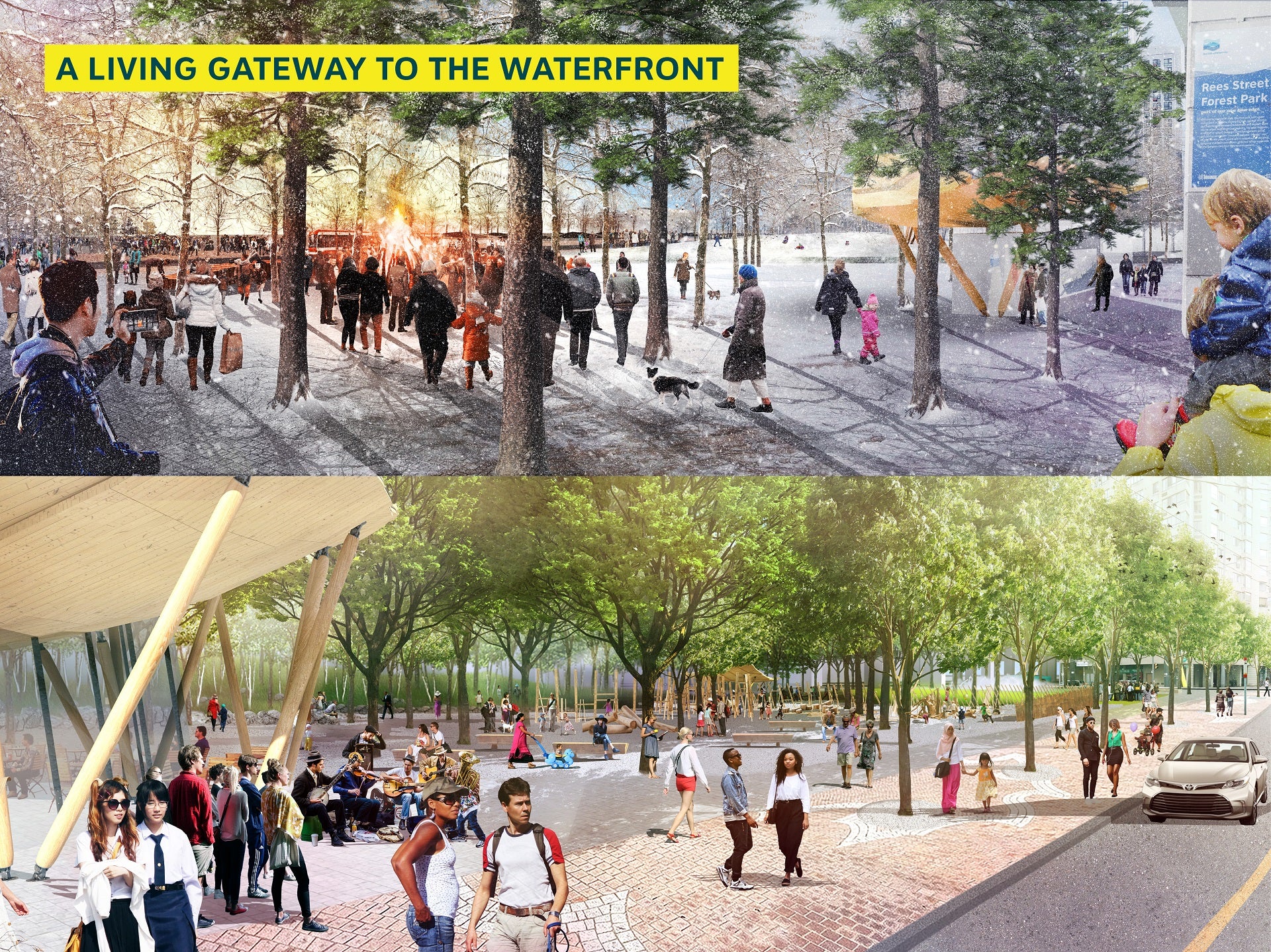 Rees Street Free Forest, by SCAPE Landscape Architecture (New York) + BSN Architects (Toronto)