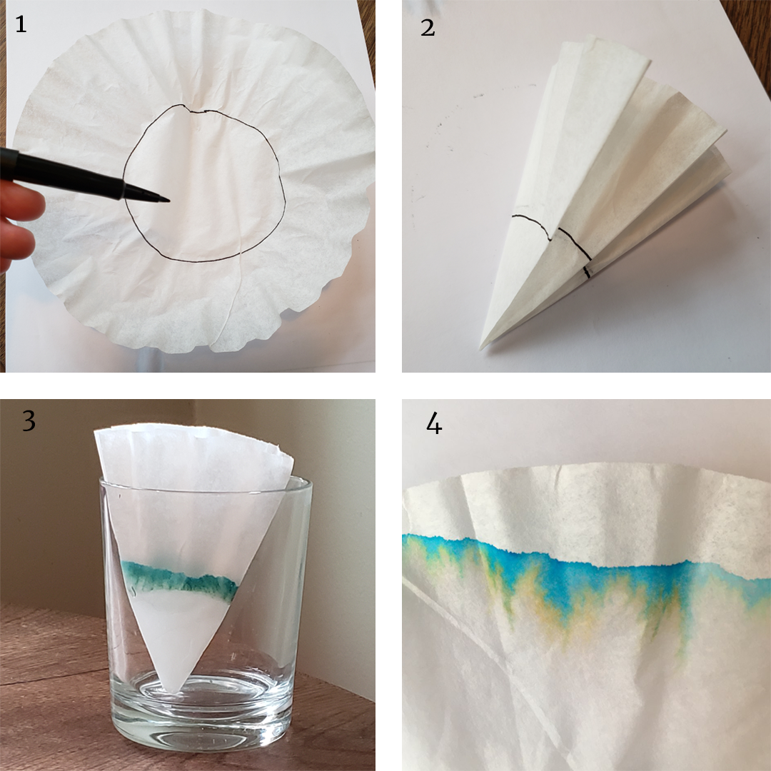The stages in a chromatography demonstration