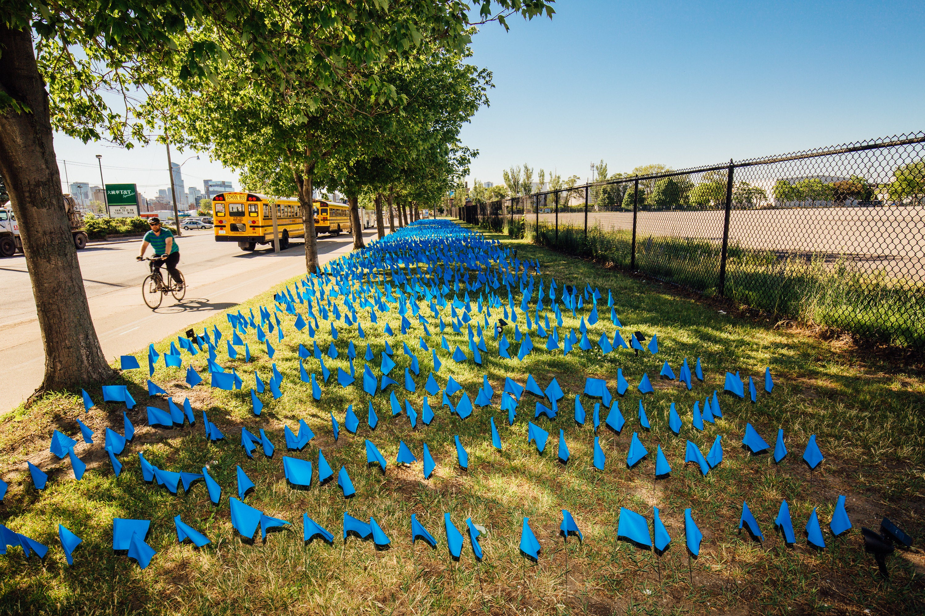 A shot of the blue flag installation along Cherry Street in the Port Lands.