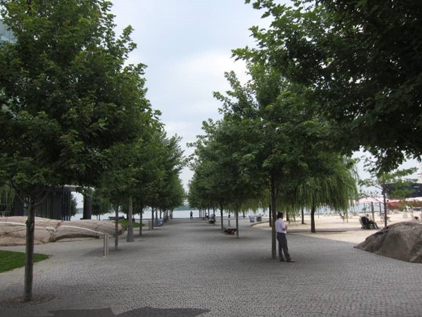trees along the promenade at Sugar Beach in 2013.