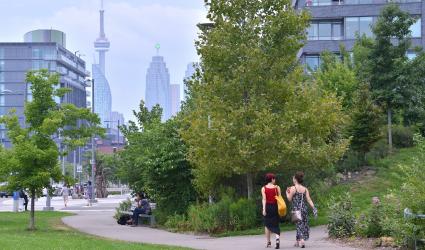 Two women walking strolling along a park trail