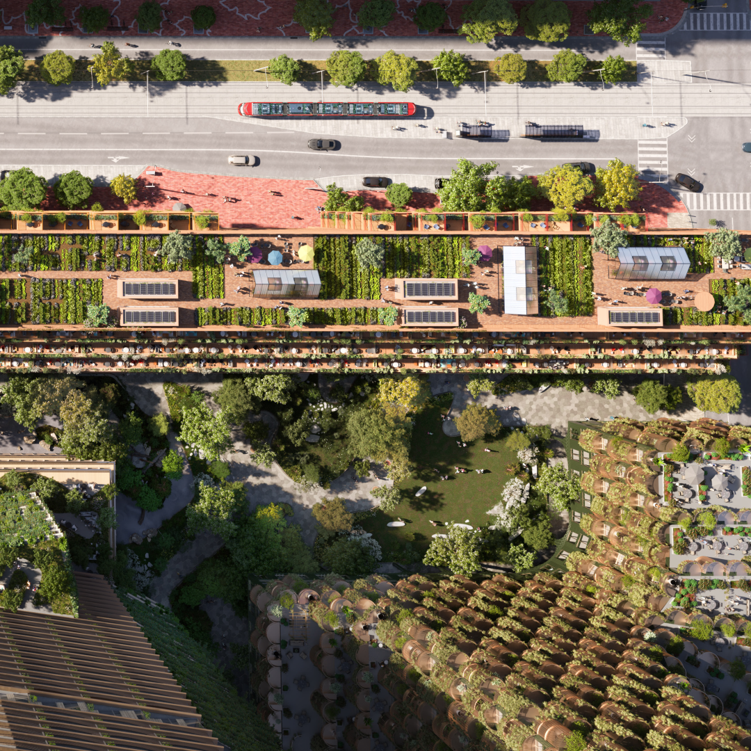 A rendering showing Rooftop Urban Farming, community gardens, greenhouses with POPs space at ground level. Community Forest, by SLA Landscape Architects.