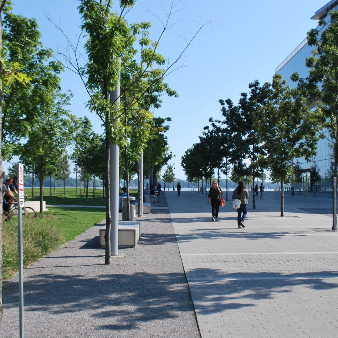 People walking along the Promenade next to George Brown College Waterfront Campus