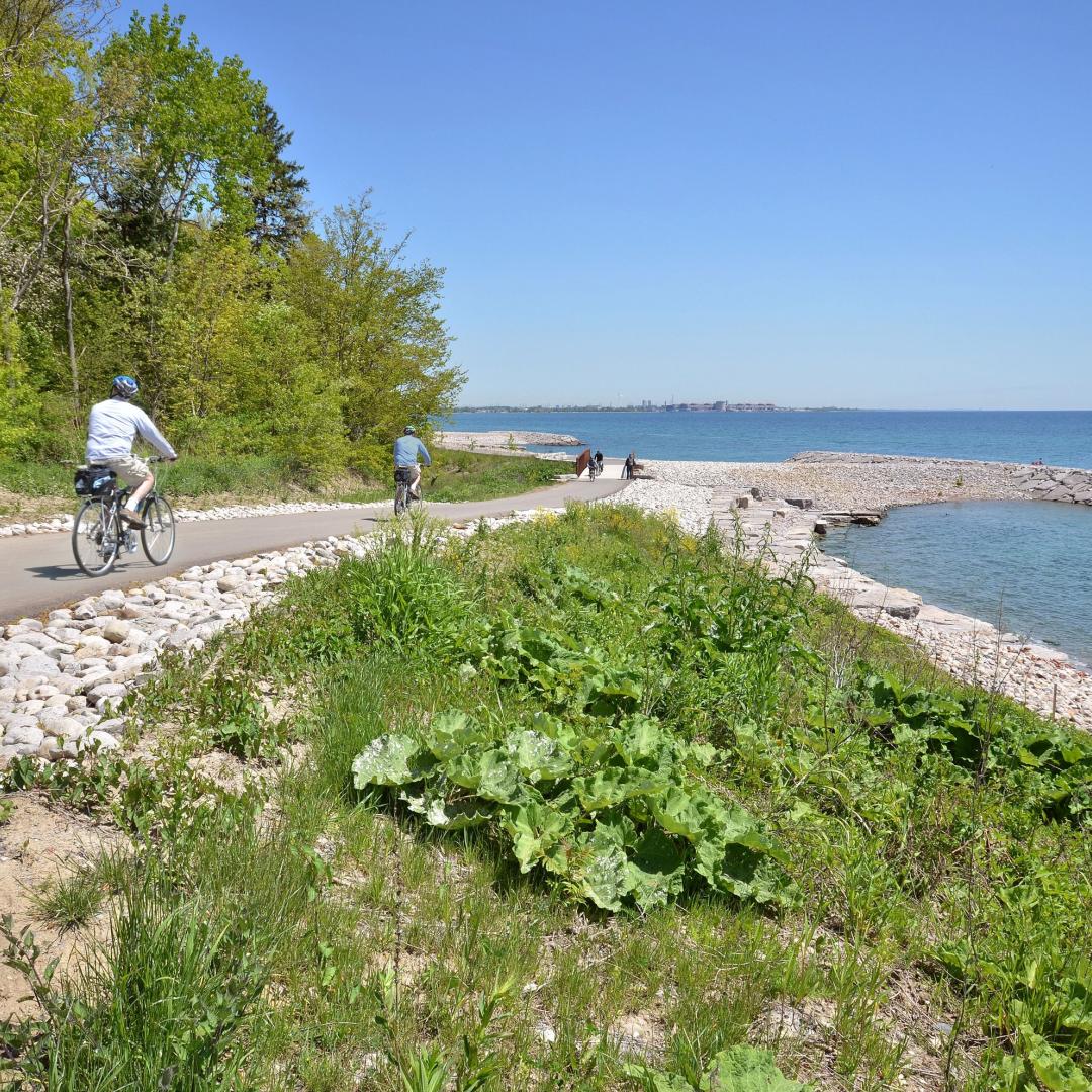 cyclists along a waterfront trail