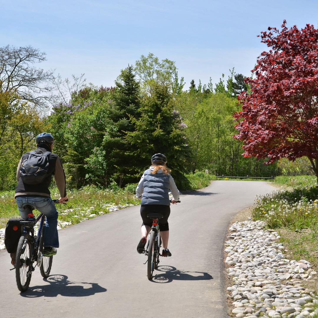 two people cycling along a tree lined multi use trail