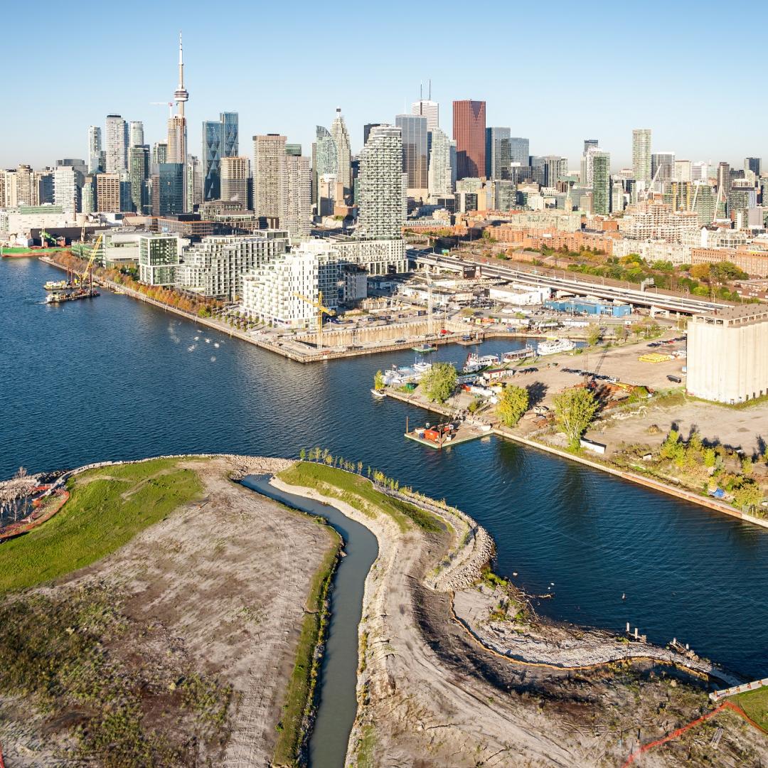 aerial photo of the city