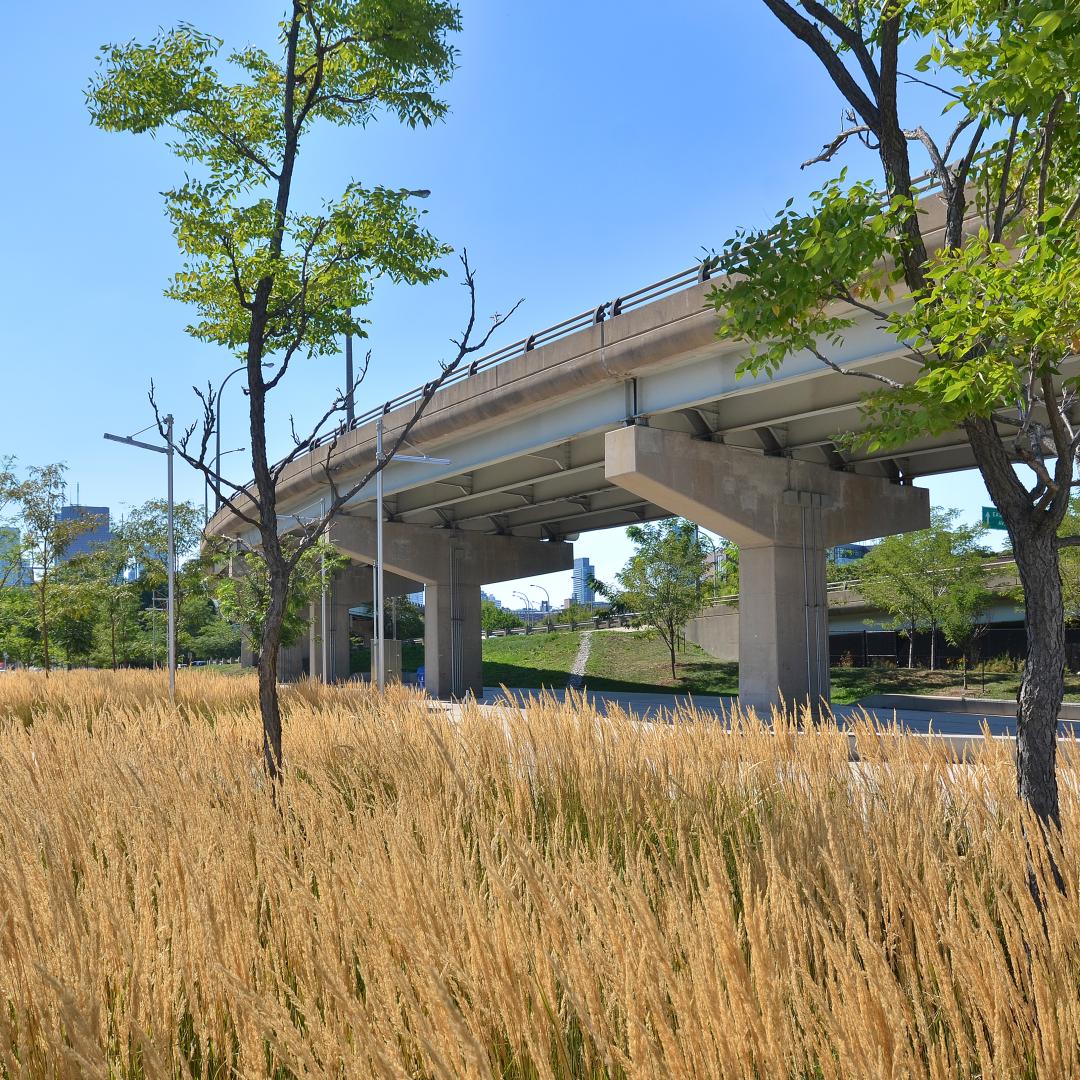 an outdoor area of trees and plantings next to an underpass