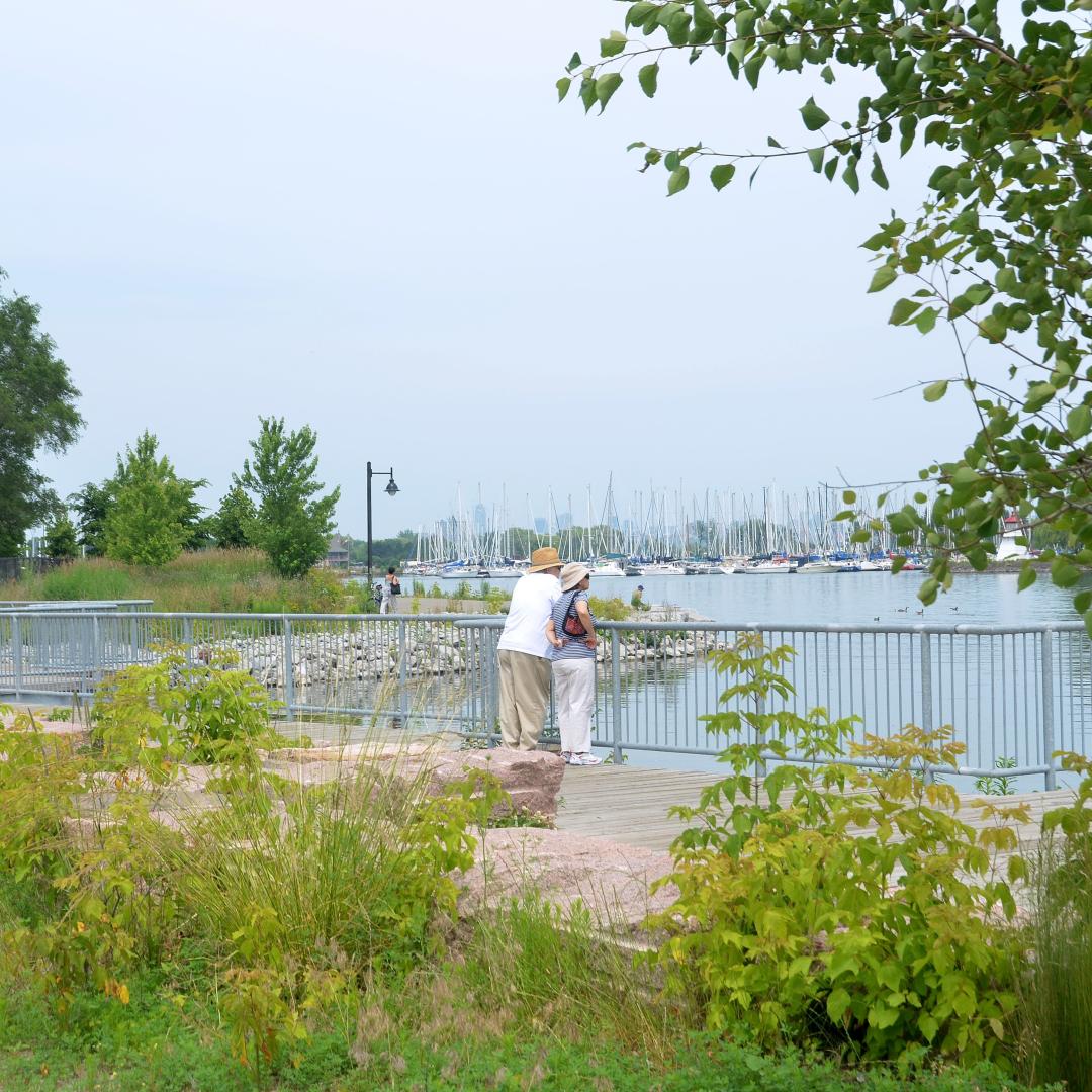 a couple standing at the water's edge looking out at Lake Ontario and the shoreline with boats in the background