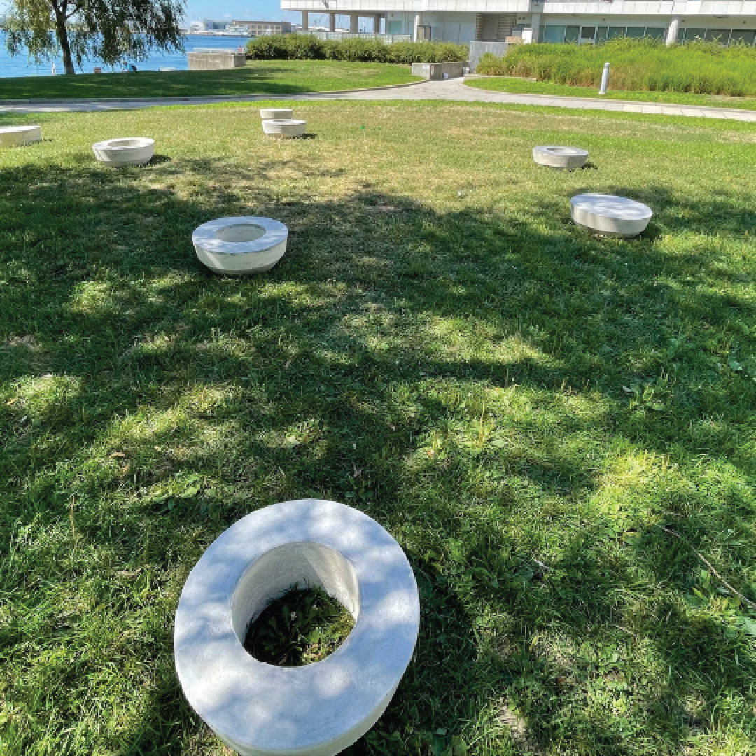 a series of circular public art installations are spread out on the grassy area of a waterfront park